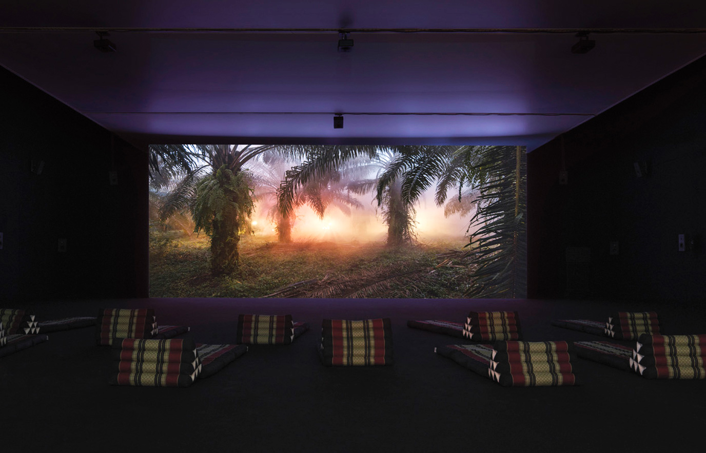 julian charri&egrave;re: an invitation to disappear